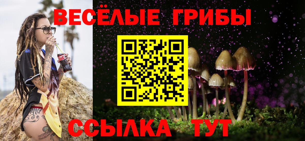 Псилоцибиновые грибы ЛСД Амурск